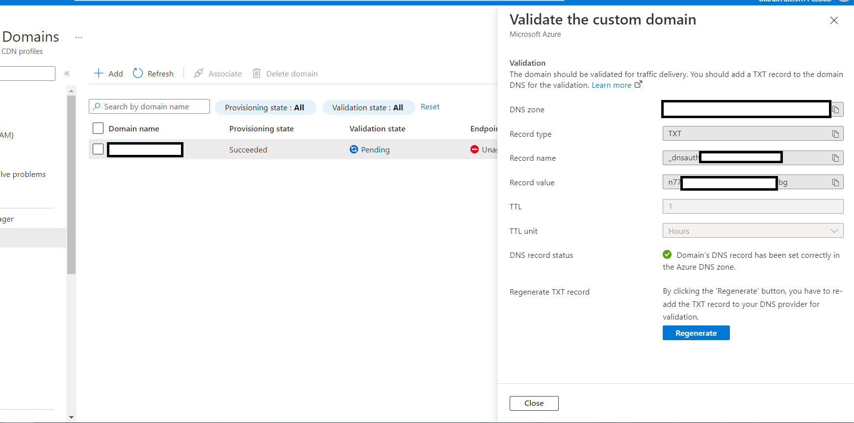 Domain validation TXT record